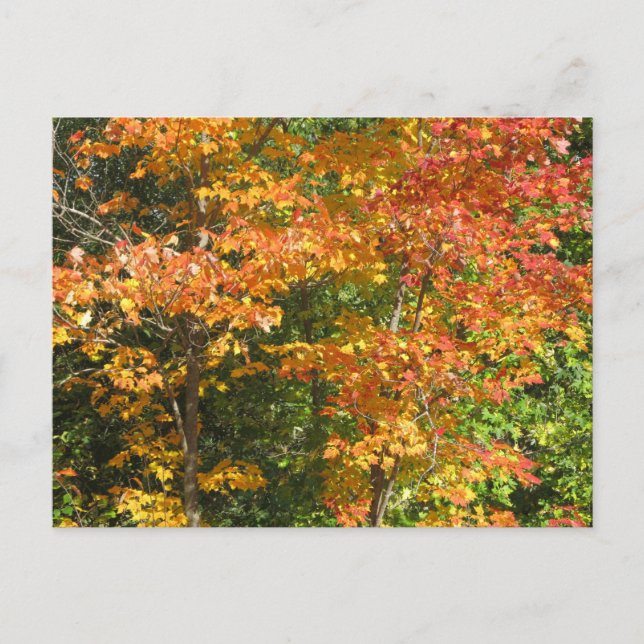 Förändring Vykort (Framsida)