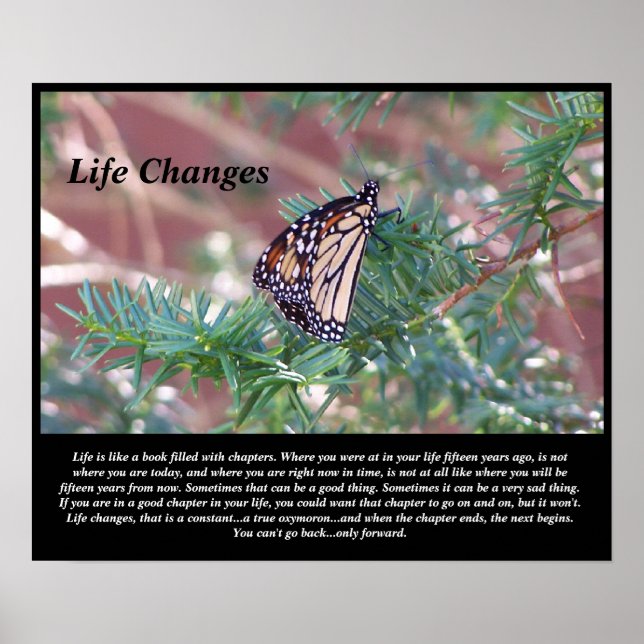 Förändringar i livstid för inspirerande gåvor poster (Framsidan)