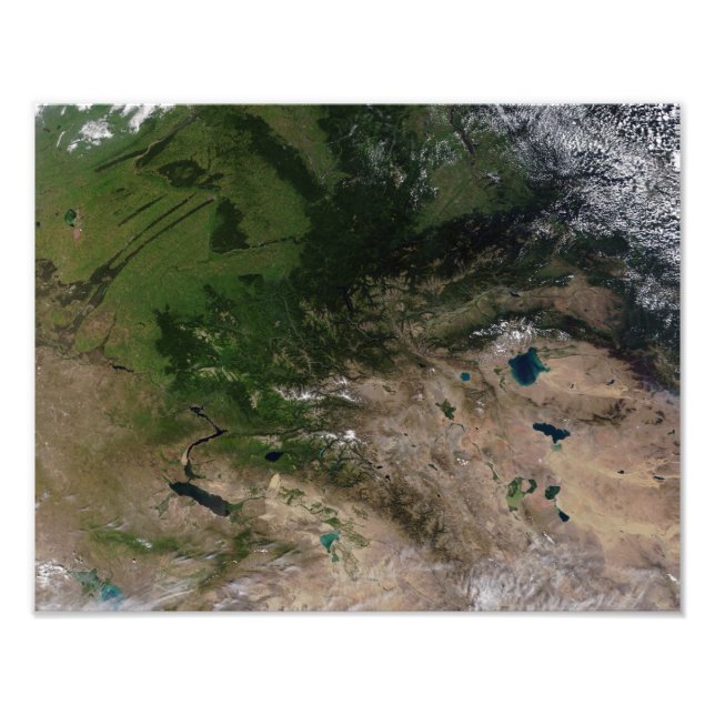 Förändringen i växtlighet fototryck (Framsidan)