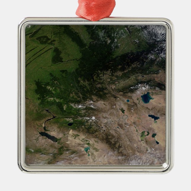 Förändringen i växtlighet julgransprydnad metall (Framsidan)