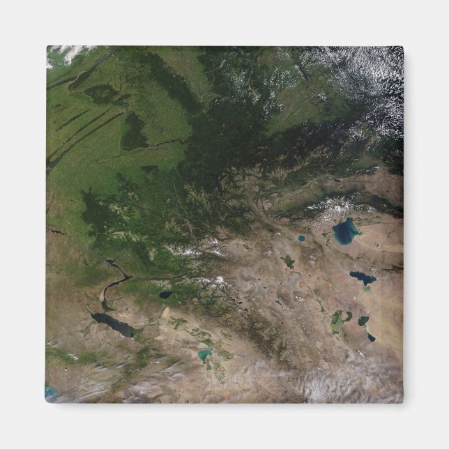 Förändringen i växtlighet magnet (Framsidan)