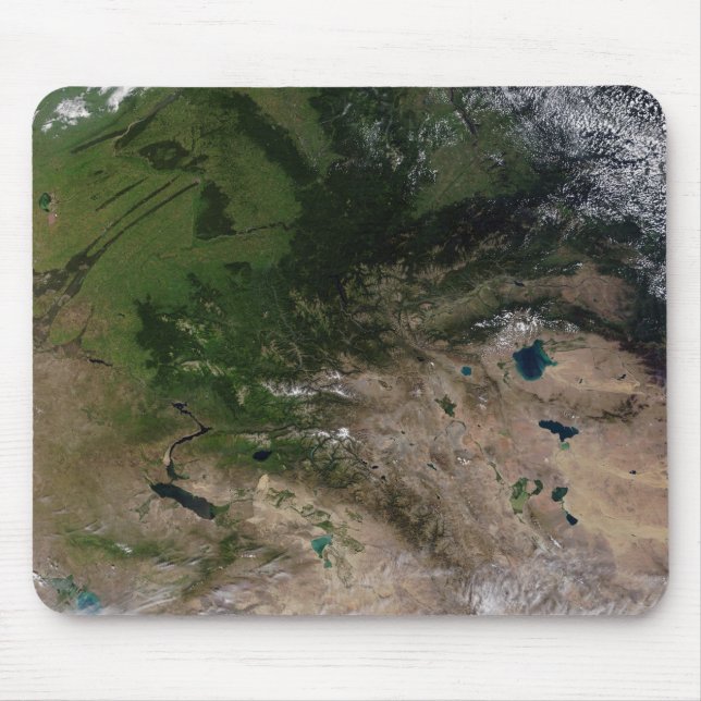 Förändringen i växtlighet musmatta (Framsidan)