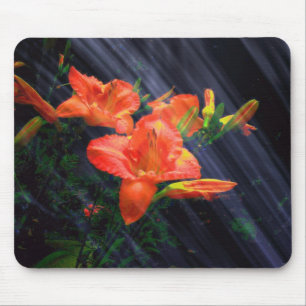 FÖRÄNDRINGSMOUSEPAD MUSMATTA