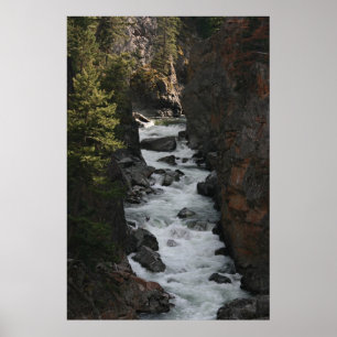 Forar in BC Poster