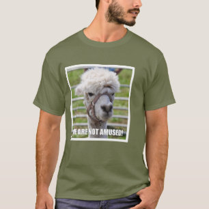 Förargad Alpaca Tröja