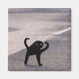 Förbannad katt meme magnet