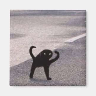 Förbannad katt meme magnet