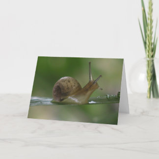 Förbaskat! För sent igen. Kort