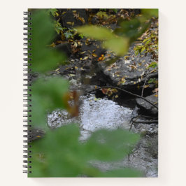 Förbättringar av den bärbara datorn Spiral