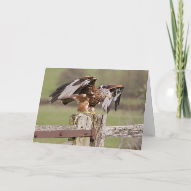 Förbered sig för tar av kort (Framsida)