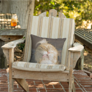 Förbereda ett stängningsfoto för maine Coon Utomhuskudde