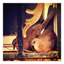 Förbereda fotoutskrift