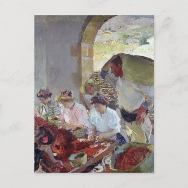 Förberedelse av torra druvor, 1890 vykort (Framsida)