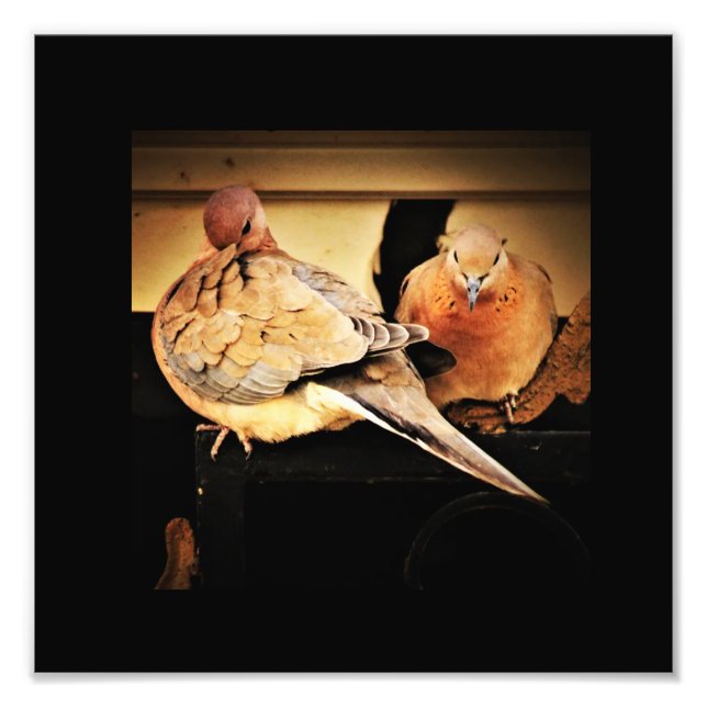 Förberedelse Fototryck (Framsidan)