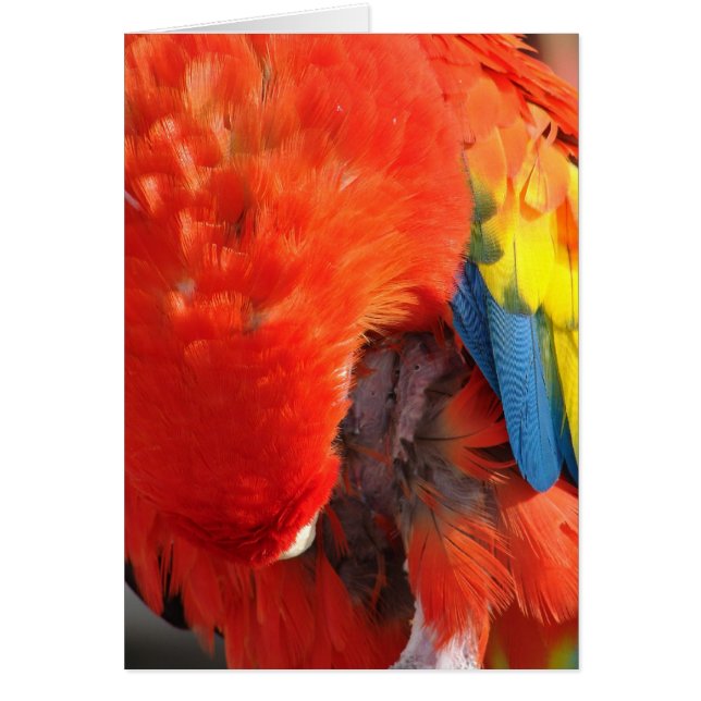 Förberedelse Hälsningskort (Framsidan)