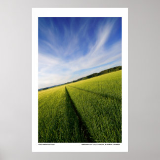 Förberedelse Poster