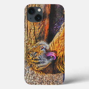 Förberedelse Sumatran Tiger Big Cat Wildlife Art