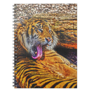 Förberedelse Sumatran Tiger Big Cat Wildlife Art Anteckningsbok