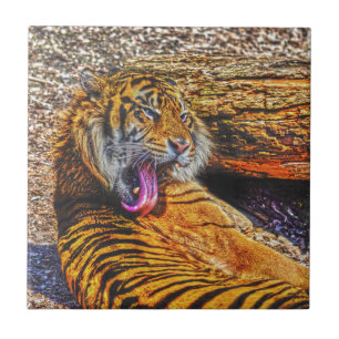 Förberedelse Sumatran Tiger Big Cat Wildlife Art Kakelplatta
