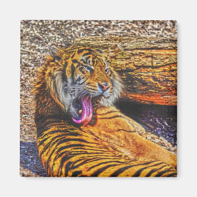 Förberedelse Sumatran Tiger Big Cat Wildlife Art Magnet (Framsidan)