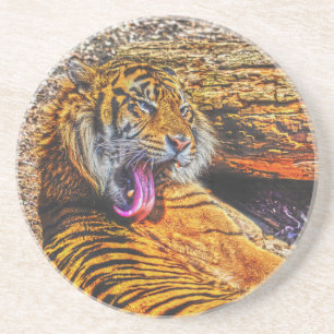 Förberedelse Sumatran Tiger Big Cat Wildlife Art Underlägg Sandsten