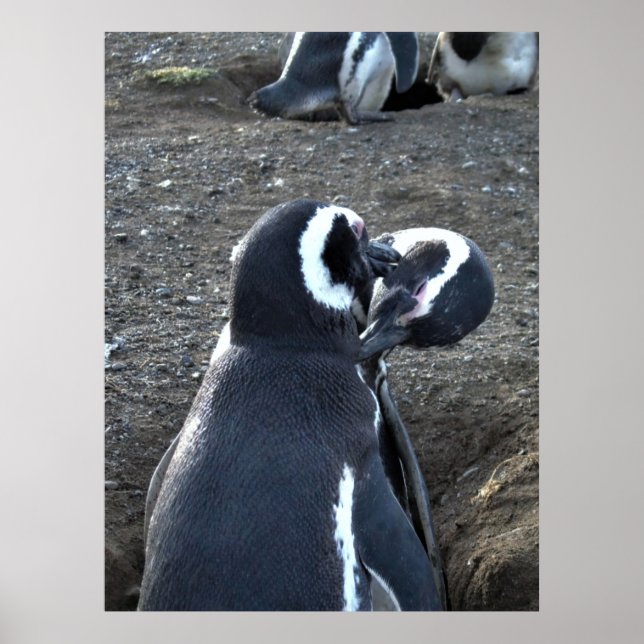 Förberedelser för partners poster (Framsidan)