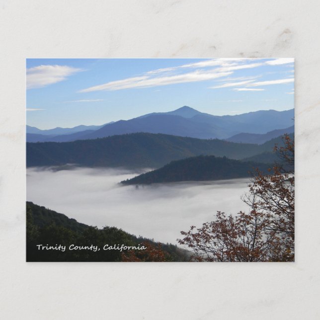 Förbi höstens färger... vykort (Framsida)