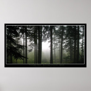 "FORBIDDEN MISTS" Grönt Misty Forest Photo Poster