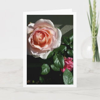Förbigå det rosa kortet #2 kort
