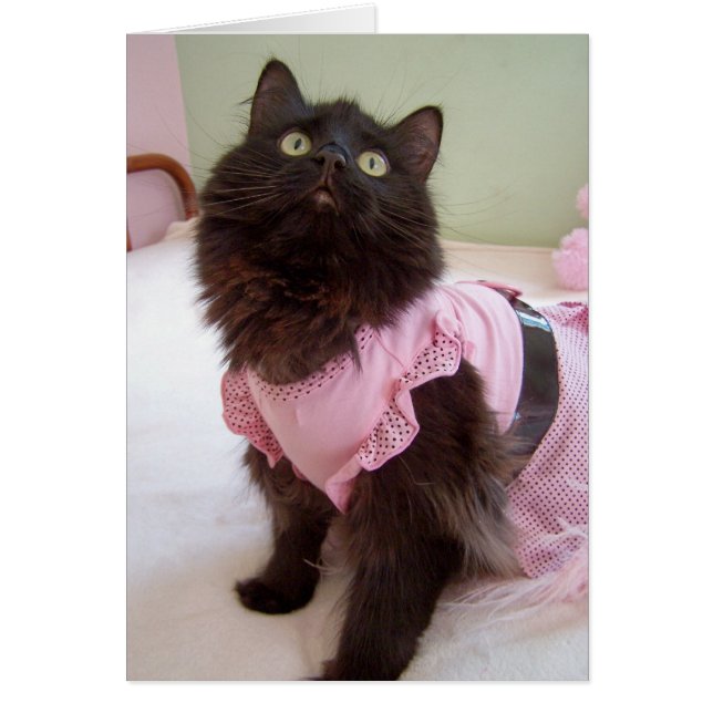 förbigå för meddelande hälsningskort (Framsidan)