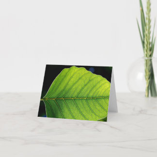 Förbigå löv Notecard Kort