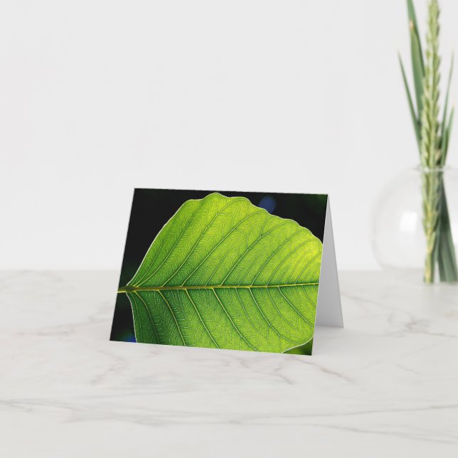 Förbigå löv Notecard Kort (Framsida)