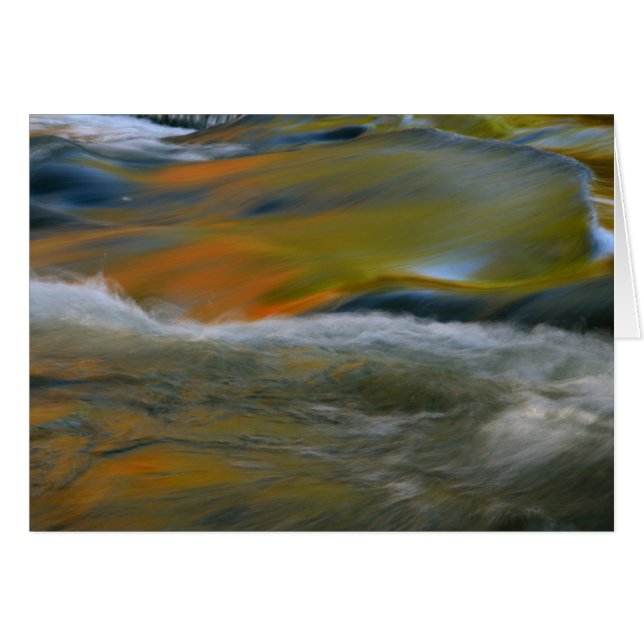 Förbindelsenedgångar Hälsningskort (Framsidan Horizontal)