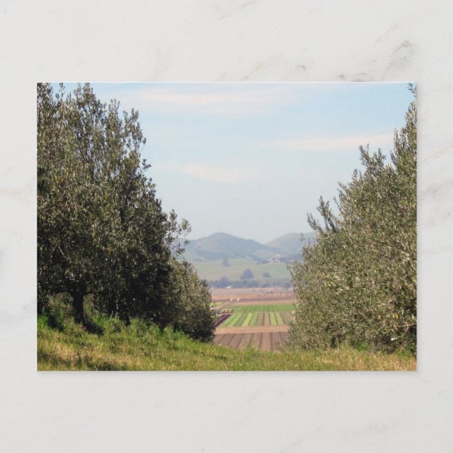 Förbise den San Juan dalen Vykort (Framsida)