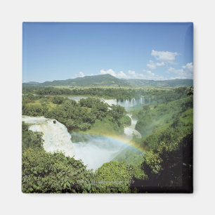 Förbise sceniska Iguazu Falls i South America Magnet