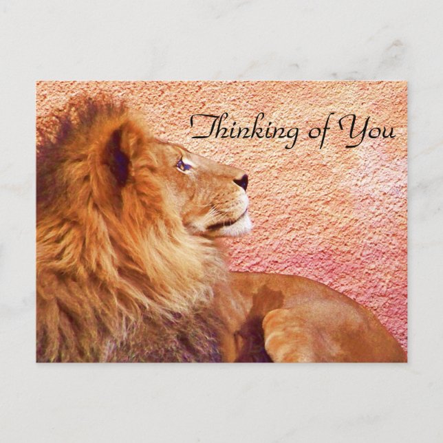 Förbli fokuserad_ vykort (Framsida)