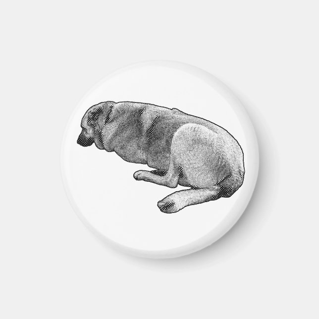 Förblir Exakt Som Detta Magnet (Framsidan)