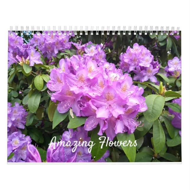 Förbluffa blommaväggkalendern kalender (Omslag)