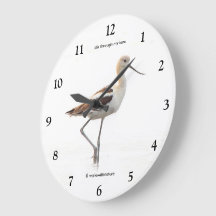 Förbluffande amerikansk skedstork som promenerar p