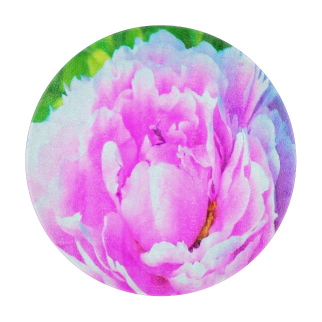 Förbluffande Dubbla Rosa Peony Flower Detail (Framsidan)