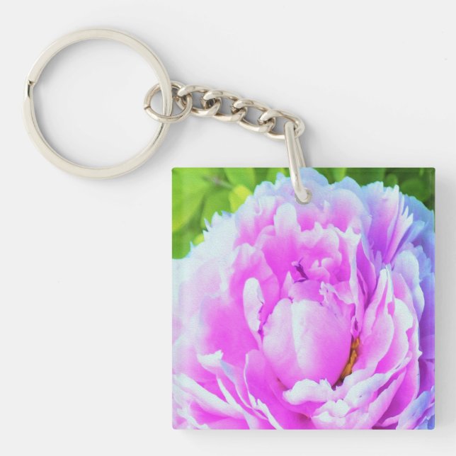 Förbluffande Dubbla Rosa Peony Flower Detail (Framsidan)