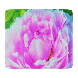 Förbluffande Dubbla Rosa Peony Flower Detail