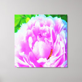 Förbluffande Dubbla Rosa Peony Flower Detail Canvastryck