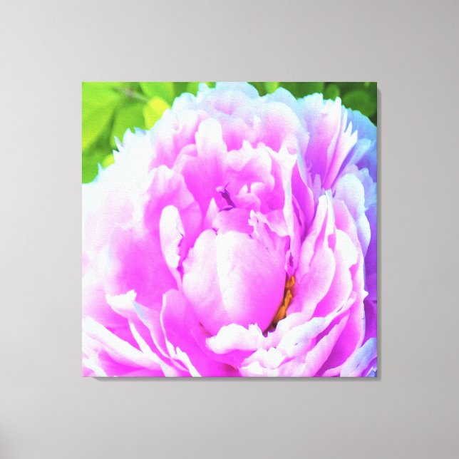 Förbluffande Dubbla Rosa Peony Flower Detail Canvastryck (Framsida)