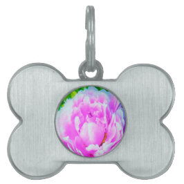Förbluffande Dubbla Rosa Peony Flower Detail ID-bricka Husdjur