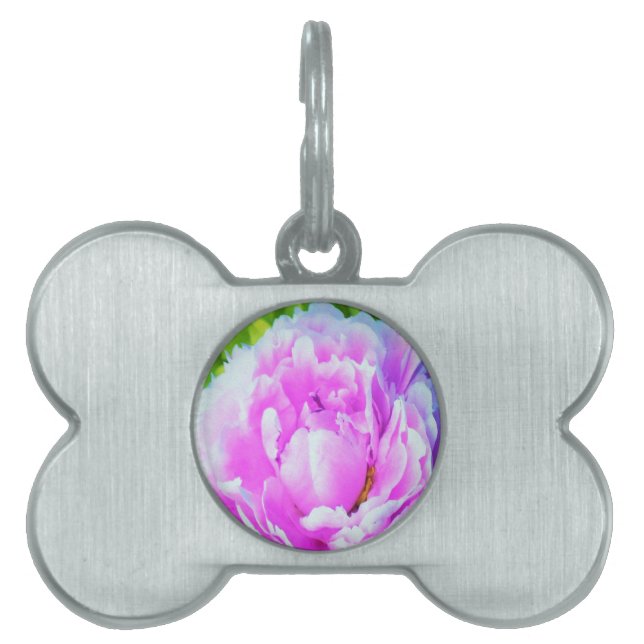 Förbluffande Dubbla Rosa Peony Flower Detail ID-bricka Husdjur (Framsidan)