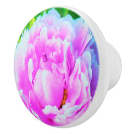 Förbluffande Dubbla Rosa Peony Flower Detail Knopp