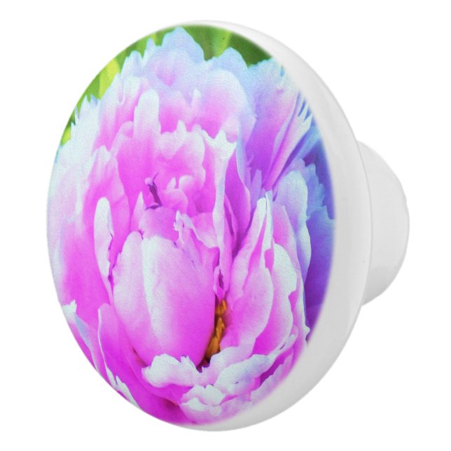 Förbluffande Dubbla Rosa Peony Flower Detail Knopp (Höger)