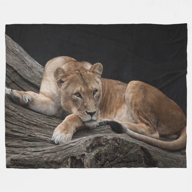 Förbluffande lionism fleecefilt (Framsidan (Horisontell))