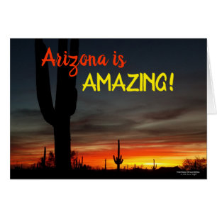 "Förbluffar Arizona!", Kaktus för Hälsningskort